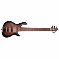 6 string bass guitar